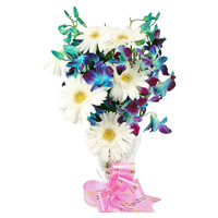 Send 6 Blue Orchid 6 White Gerbera Flower Bouquet online to Mumbai on New Year