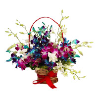 New Year Flowers in Mumbai together with Mixed Orchid Basket 9 Flowers Stem
