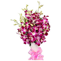 Deliver Christmas Flowers to Pune to Deliver Purple Orchid Bunch 12 Flowers in Mumbai