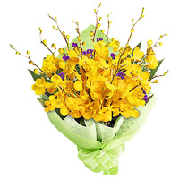Flowers to Mumbai on New Year. Yellow Orchid Bunch of 6 Flowers Stem in Mumbai