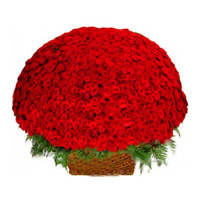 Deliver Red Roses Basket 500 Flowers to Mumbai on Friendship Day