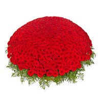 Best Birthday Flower Delivery to Mumbai, Send Red Roses Basket 1000 Flowers