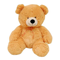 Christmas Gifts in Thane incorporate with Big Teddy Bear in Mumbai of 20 Inch
