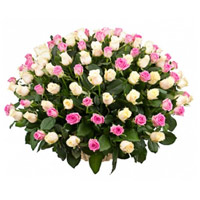 Deliver Birthday Flowers in Mumbai. send White Pink Roses Basket 100 Flowers