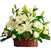 Rakhi Flower Delivery. White Lily Roses Gerbera Basket 20 Flowers in Mumbai