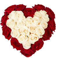 Red White Roses Heart 50 Flowers in Nashik. Cheap New Flowers in Mumbai