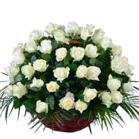 Online Flowers to Mumbai : White Roses