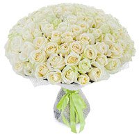 Flowers to Mumbai : 100 White Roses