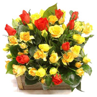 Online Flower Delivey in Mumbai