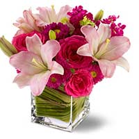 Flowers to Mumbai : Send Flowers to Mumbai