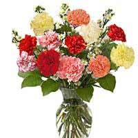 Flowers to Mumbai : Raksha Bandhan Gifts to Mumbai