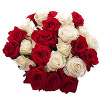 Flowers to Mumbai