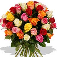 Flowers to Mumbai 