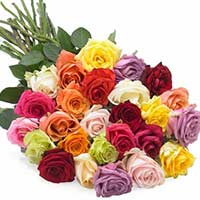 Flowers to Mumbai