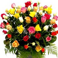 Flowers to Mumbai 