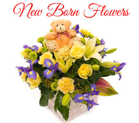 Send New Born Flowers to Mumbai