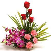 Flowers to Mumbai : Send Flowers to Mumbai