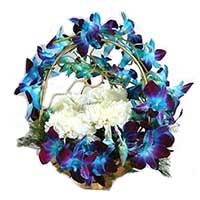 Flowers to Mumbai : Send Flowers to Mumbai