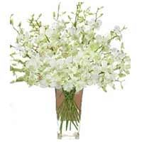 Flowers to Mumbai : Send Flowers to Mumbai