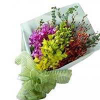 Flowers to Mumbai 