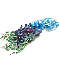Flowers to Mumbai : Send Flowers to Mumbai