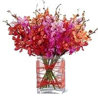 Flowers to Mumbai : Send Flowers to Mumbai