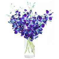 Flowers to Mumbai : Anniversary Gifts to Mumbai