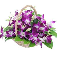 Flowers to Mumbai : Anniversary Gifts to Mumbai