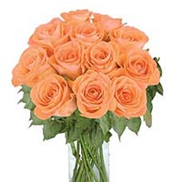 Flowers to Mumbai : Send Flowers to Munbai