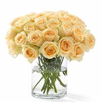 Flowers to Mumbai : Send Flowers to Munbai
