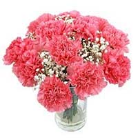 Flowers to Mumbai : Send Flowers to Mumbai, Send Flowers to Mumbai