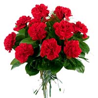 Flowers to Mumbai : Birthday Flowers to Mumbai