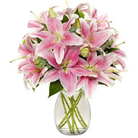 Flowers to Mumbai : Send Flowers to Mumbai