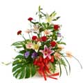Flowers to Mumbai : Send Flowers to Mumbai