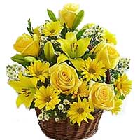 Send Gifts to Mumbai : Get Well Soon Flowers to Mumbai