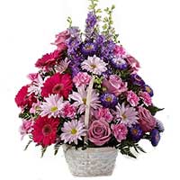 Send Gifts to Mumbai : Get Well Soon Flowers to Mumbai