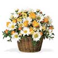 Send Gifts to Mumbai : Get Well Soon Flowers to Mumbai