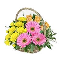 Send Flowers to Mumbai : Mixed Flower Basket