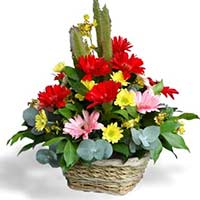Send Basket of Mixed Flowers to Mumbai