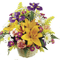 Send Flowers to Pune