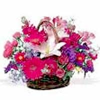 Arrangement of Flowers to Mumbai