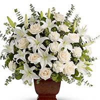 Arrangement of Flowers to Mumbai