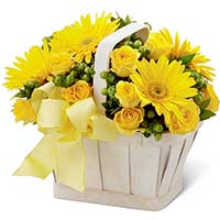 Send Gifts to Mumbai : Get Well Soon Flowers to Mumbai