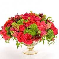 Anthurium Flowers to Mumbai : Send Flowers to Mumbai