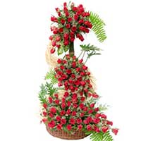 Flowers to Mumbai : Mother's Day Gifts to Mumbai.