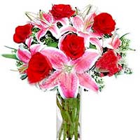 Flowers to Mumbai : Housewarming Gifts to Mumbai