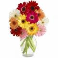 Flowers to Mumbai : Valentine's day Gifts to Mumbai