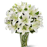 Flowers to Mumbai : Send Flowers to Mumbai