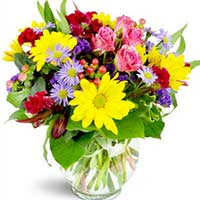 Flowers to Mumbai : Send Flowers to Mumbai