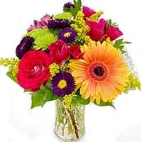 Flowers to Mumbai : Housewarming Gifts to Mumbai